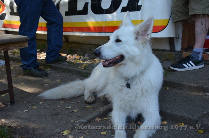 MCE Sommertreffen 2014 - 053.jpg